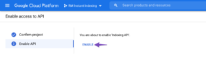 Enable the Instant Indexing API